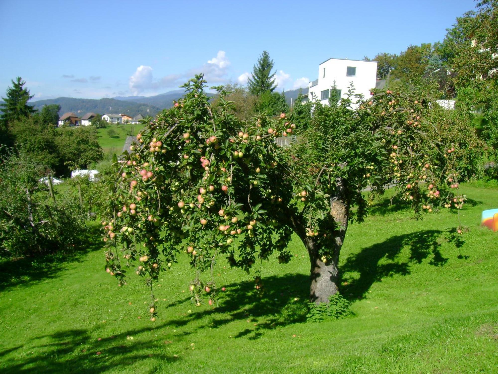 St. Oswalderhof Bed & Breakfast Pörtschach am Wörthersee Екстериор снимка